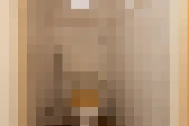 Gerben Postmastrjitte 10 Damwâld thumbnail 32