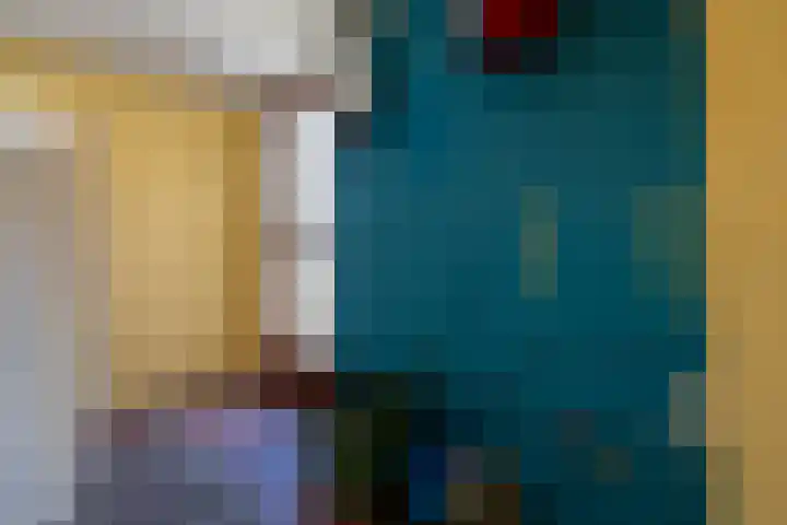 Gerben Postmastrjitte 10 Damwâld thumbnail 33