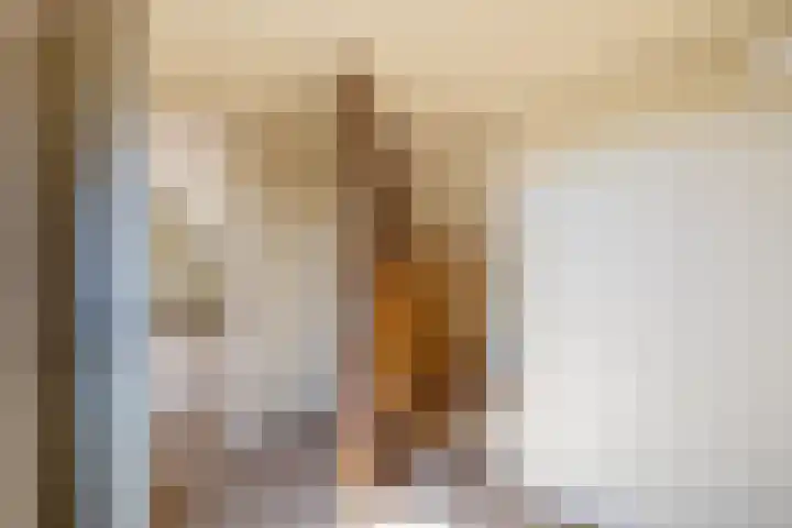 Gerben Postmastrjitte 10 Damwâld thumbnail 35