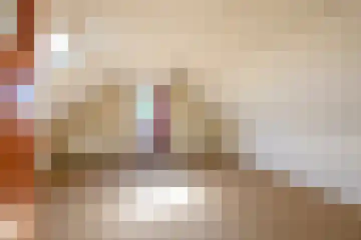 Gerben Postmastrjitte 10 Damwâld thumbnail 36