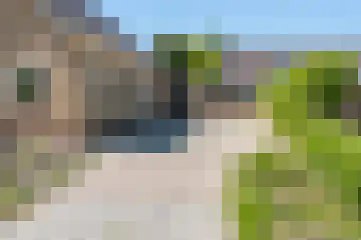 Gerben Postmastrjitte 10 Damwâld thumbnail 4