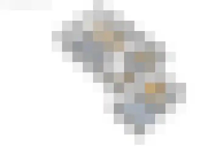 Gerben Postmastrjitte 10 Damwâld thumbnail 42