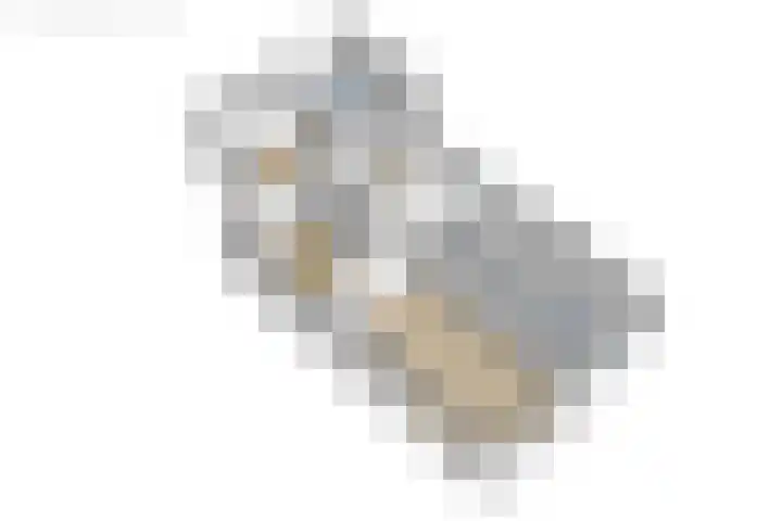 Gerben Postmastrjitte 10 Damwâld thumbnail 44