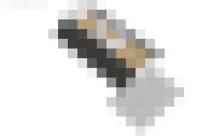 Gerben Postmastrjitte 10 Damwâld thumbnail 49