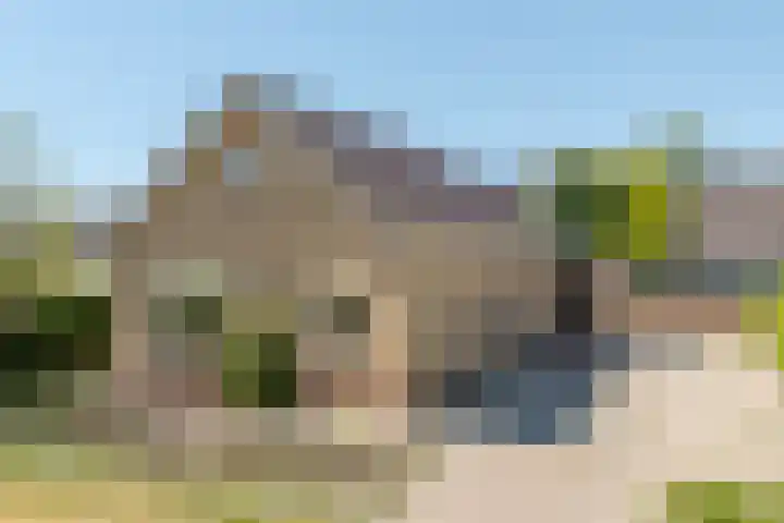 Gerben Postmastrjitte 10 Damwâld thumbnail 5