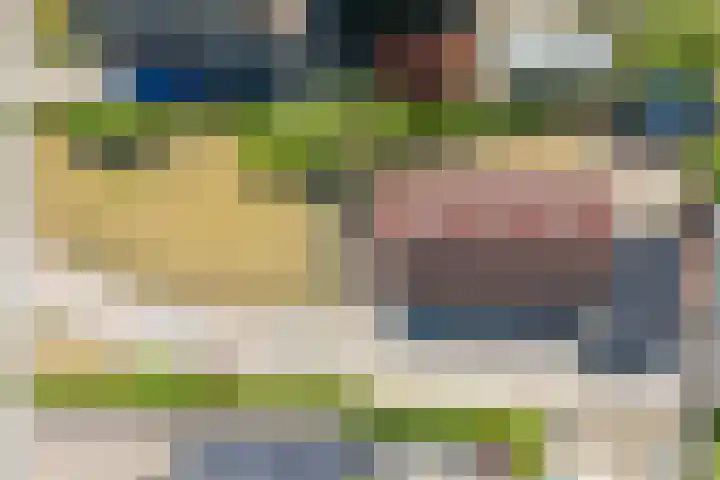 Gerben Postmastrjitte 10 Damwâld thumbnail 7