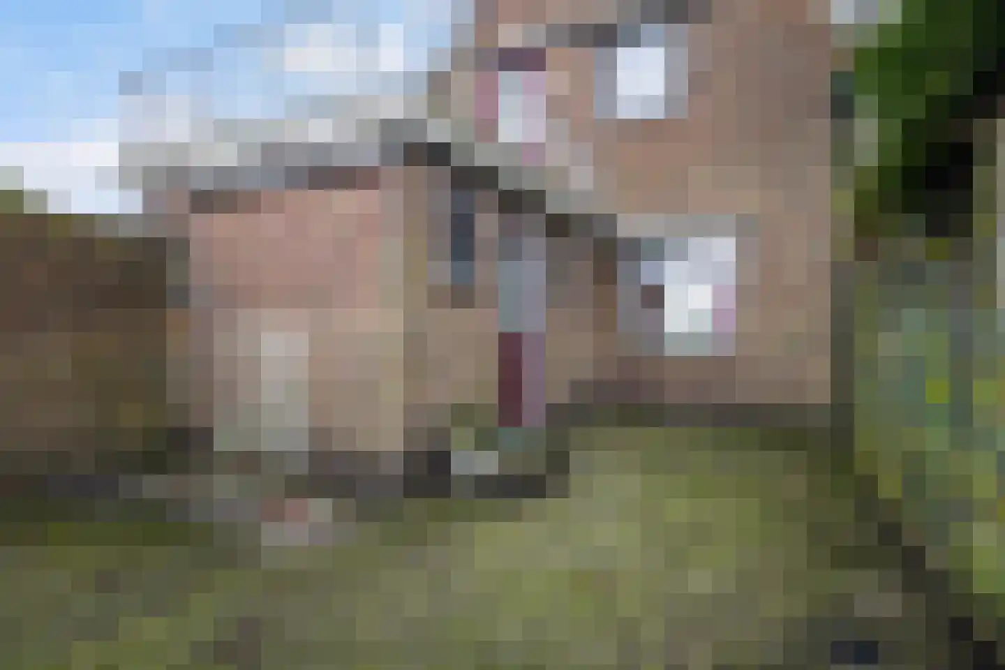 Gerben Postmastrjitte 12 Damwâld thumbnail 31