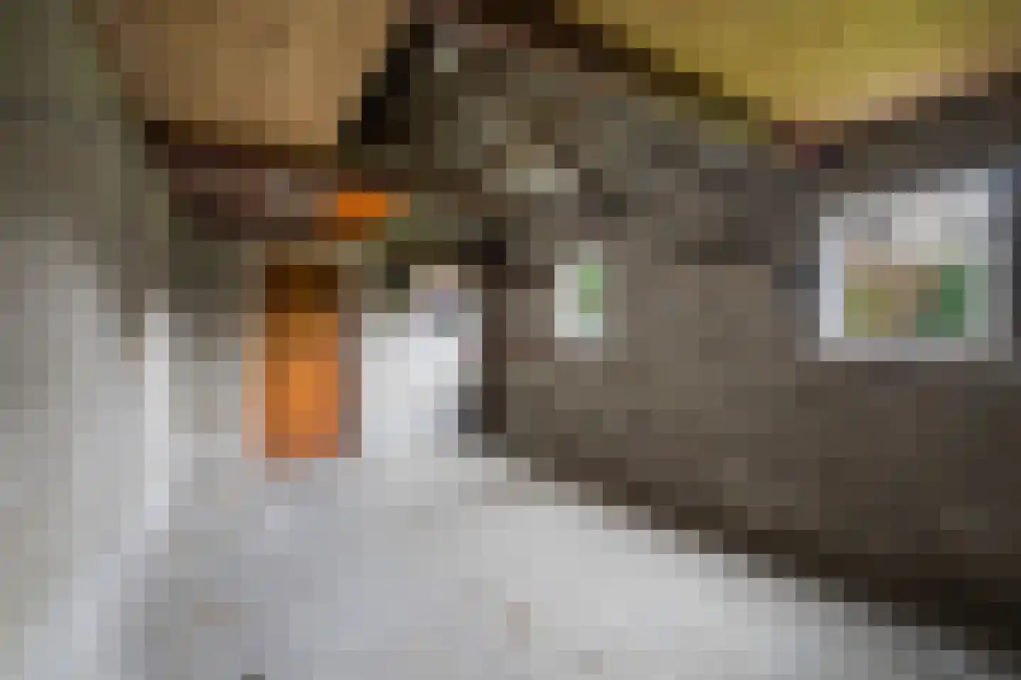 Gerben Postmastrjitte 12 Damwâld thumbnail 44