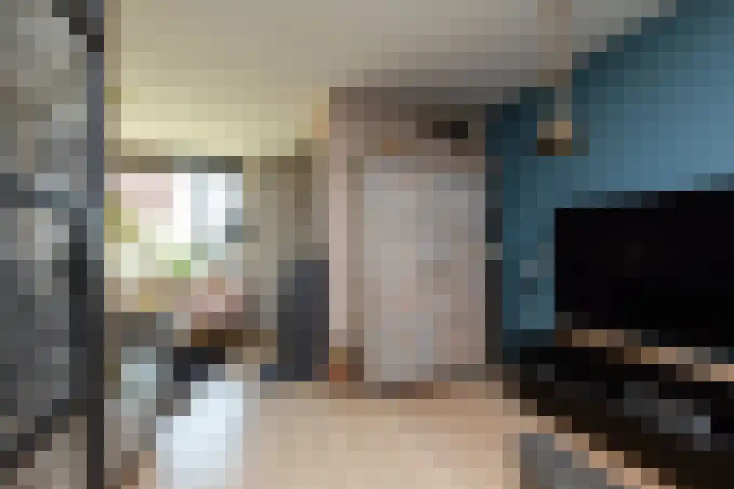 Gerben Rijpmastrjitte 21 Blauwhuis thumbnail 10