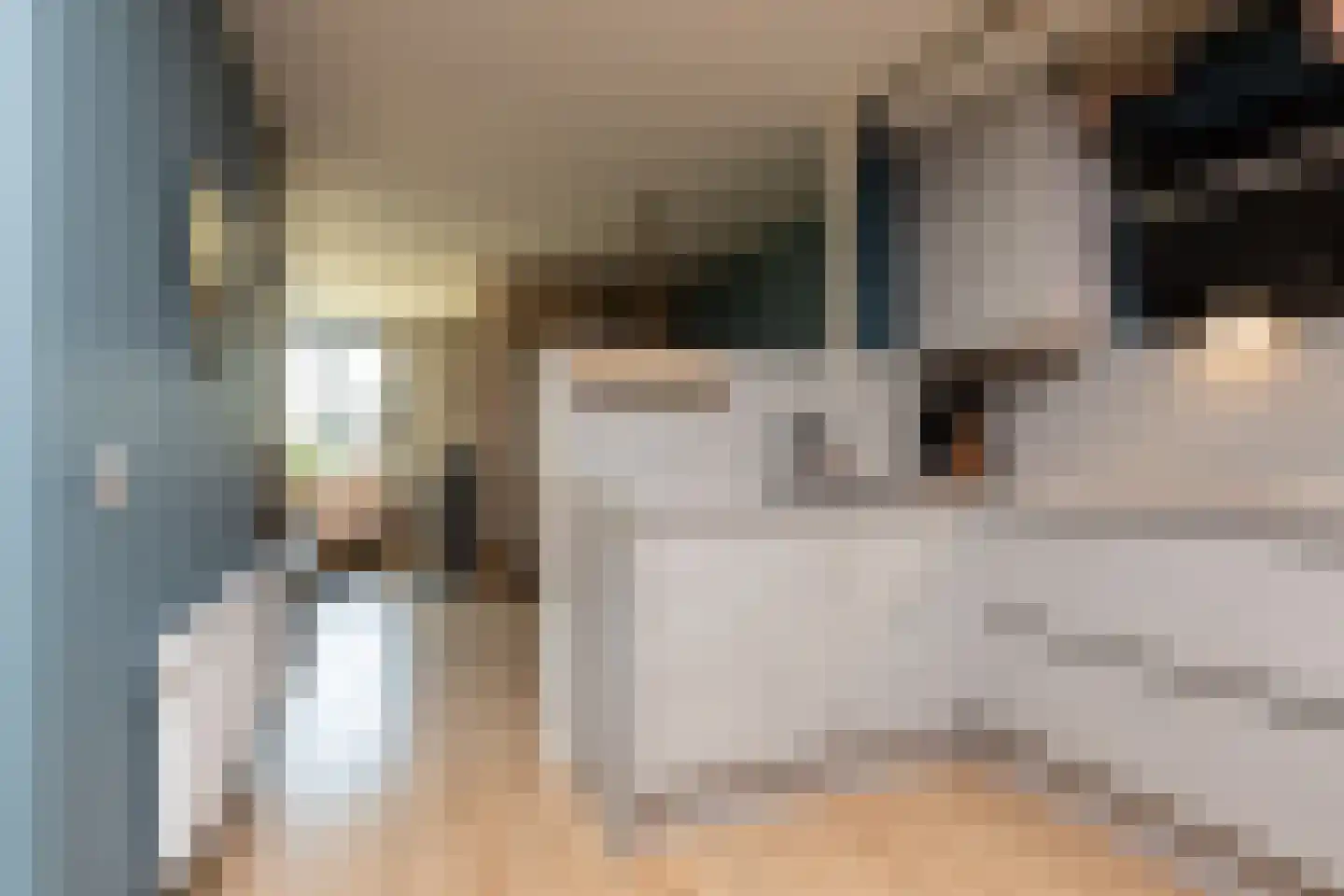 Gerben Rijpmastrjitte 21 Blauwhuis thumbnail 11