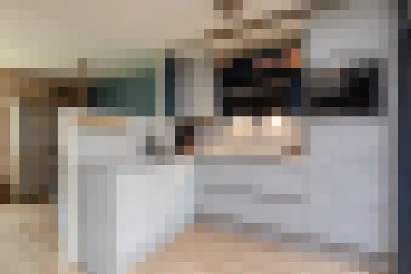 Gerben Rijpmastrjitte 21 Blauwhuis thumbnail 12