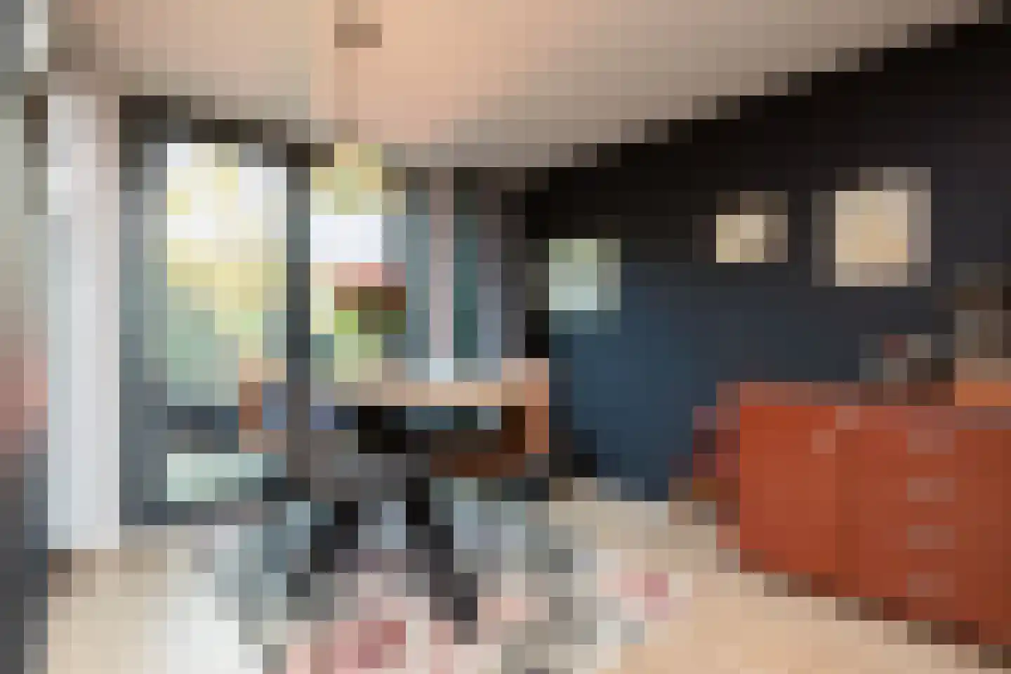 Gerben Rijpmastrjitte 21 Blauwhuis thumbnail 13