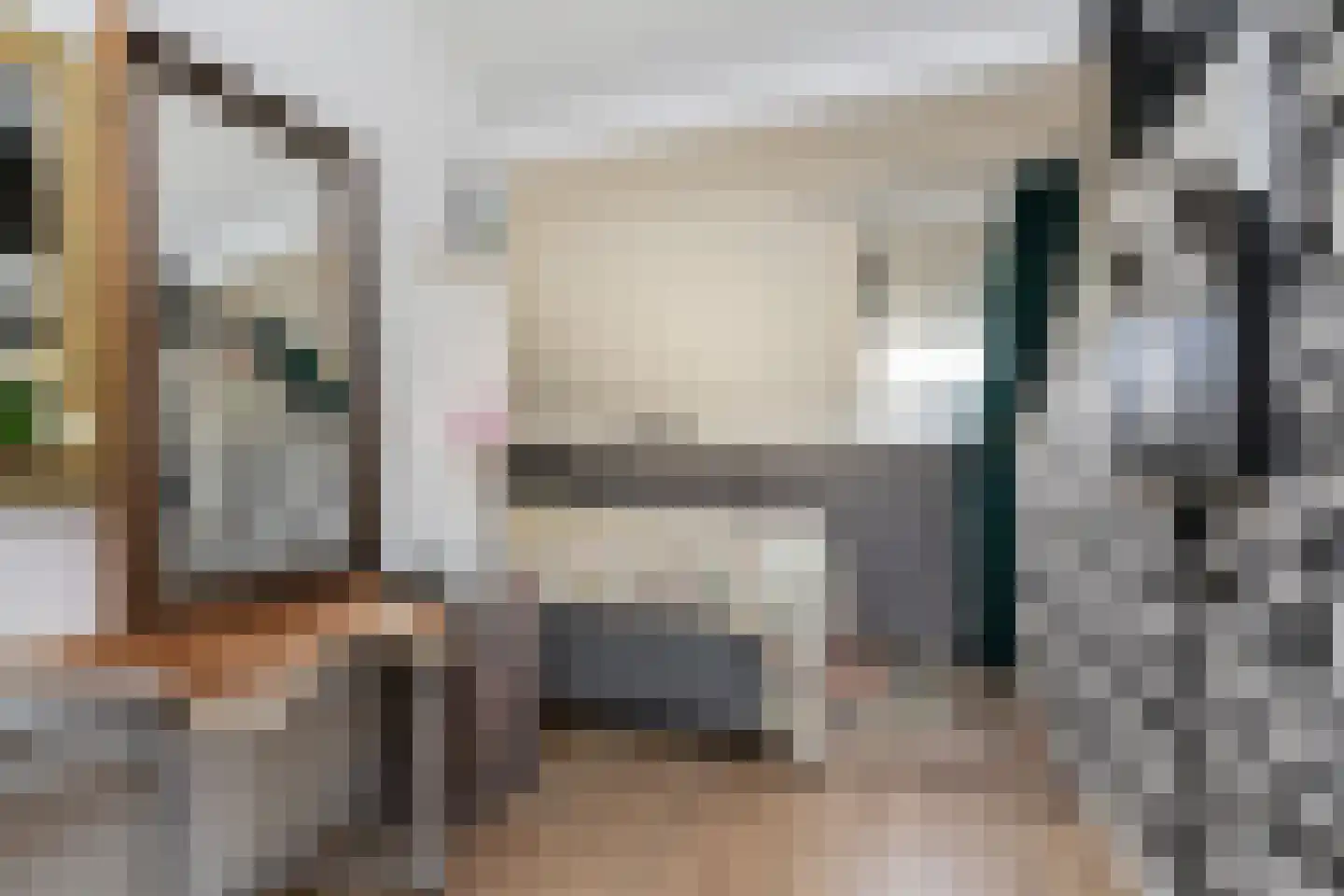 Gerben Rijpmastrjitte 21 Blauwhuis thumbnail 19