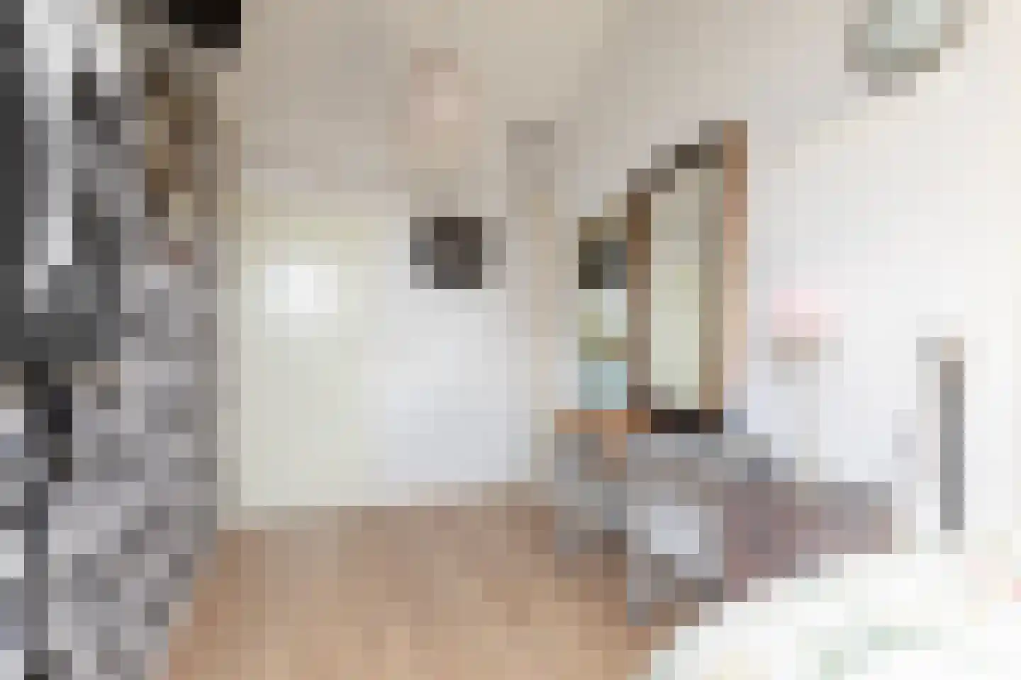 Gerben Rijpmastrjitte 21 Blauwhuis thumbnail 20