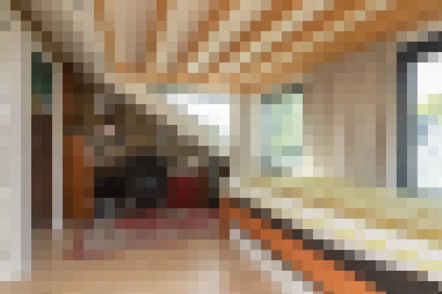 Gerben Rijpmastrjitte 21 Blauwhuis thumbnail 22
