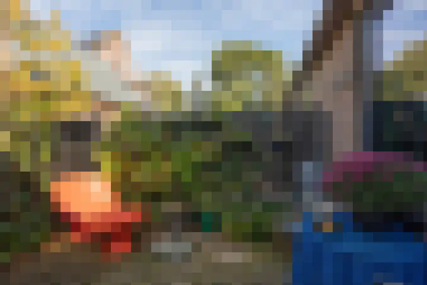Gerben Rijpmastrjitte 21 Blauwhuis thumbnail 28