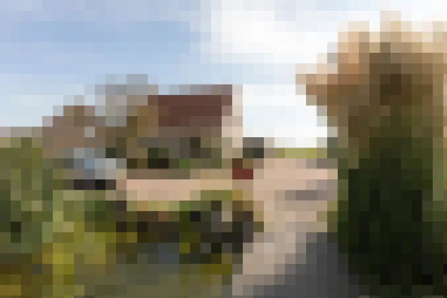 Gerben Rijpmastrjitte 21 Blauwhuis thumbnail 33