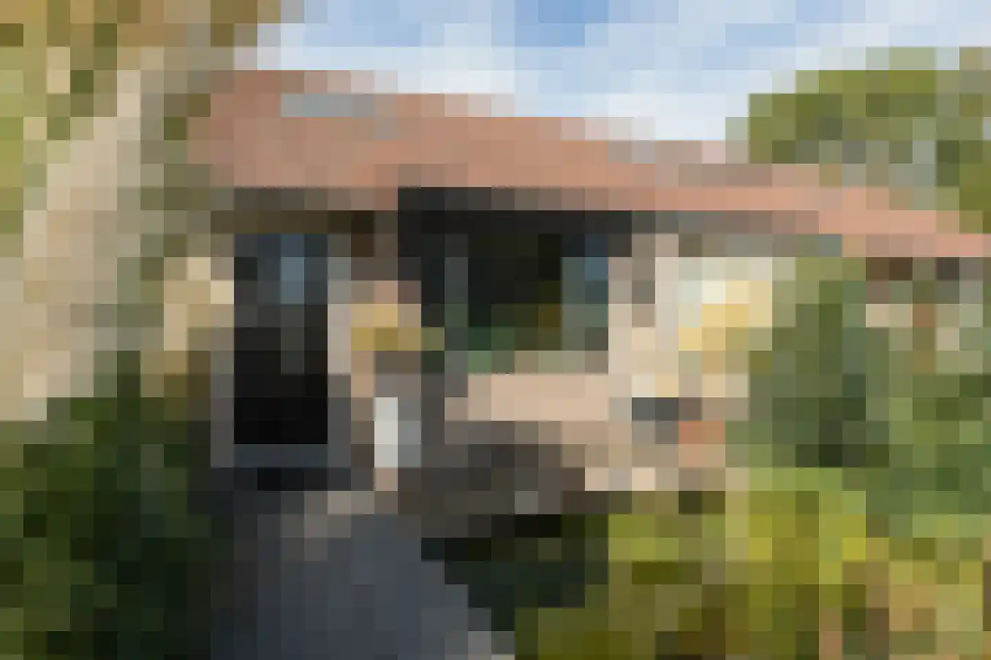 Gerben Rijpmastrjitte 21 Blauwhuis thumbnail 4