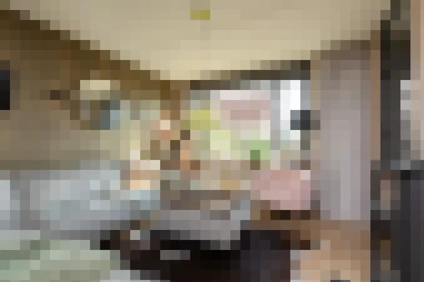 Gerben Rijpmastrjitte 21 Blauwhuis thumbnail 6