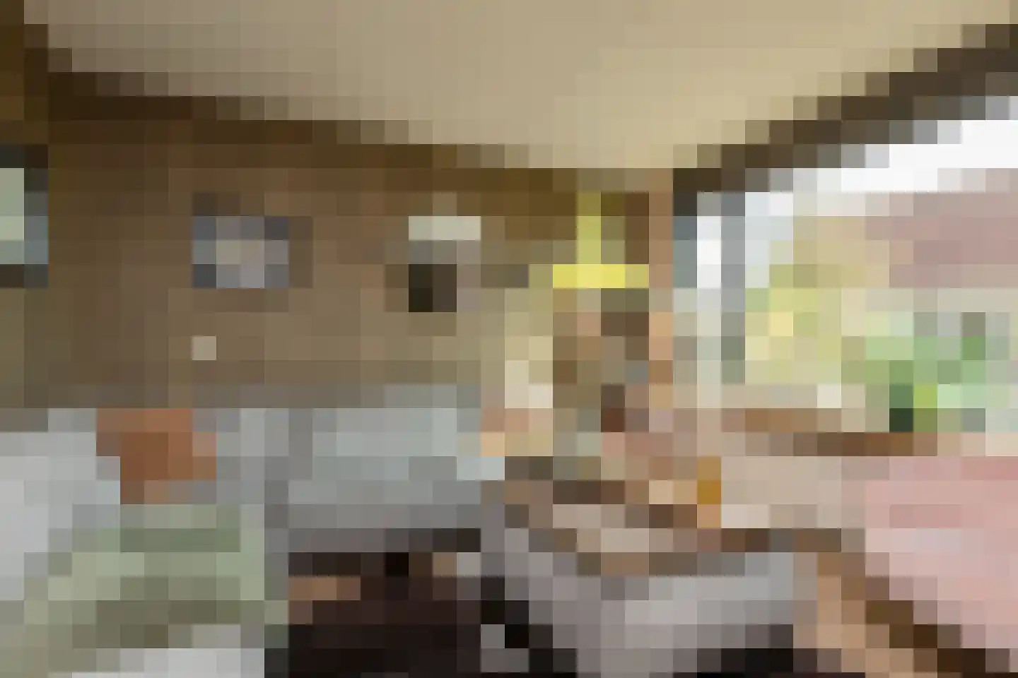 Gerben Rijpmastrjitte 21 Blauwhuis thumbnail 7