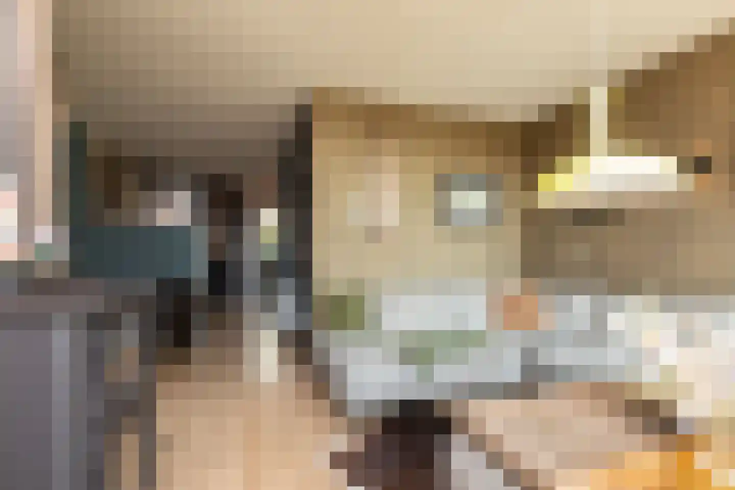 Gerben Rijpmastrjitte 21 Blauwhuis thumbnail 8