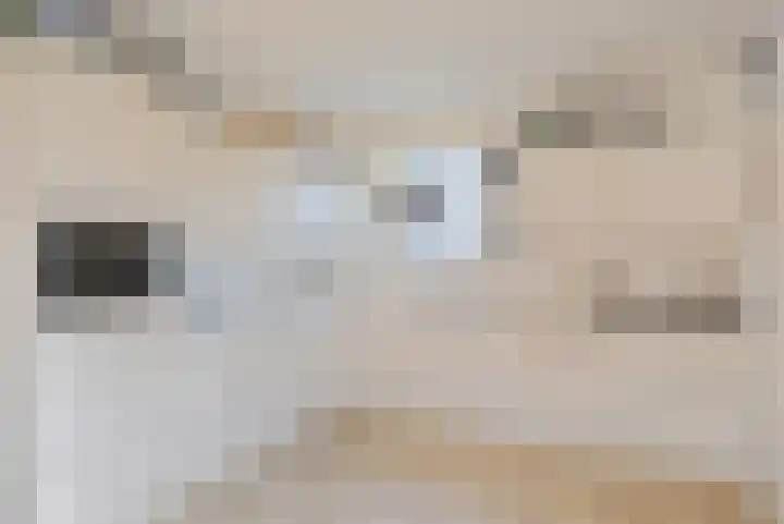 Gerben Rijpmastrjitte 24 Blauwhuis thumbnail 10