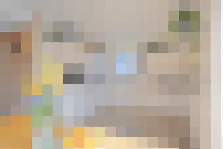 Gerben Rijpmastrjitte 24 Blauwhuis thumbnail 12