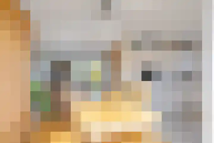 Gerben Rijpmastrjitte 24 Blauwhuis thumbnail 13