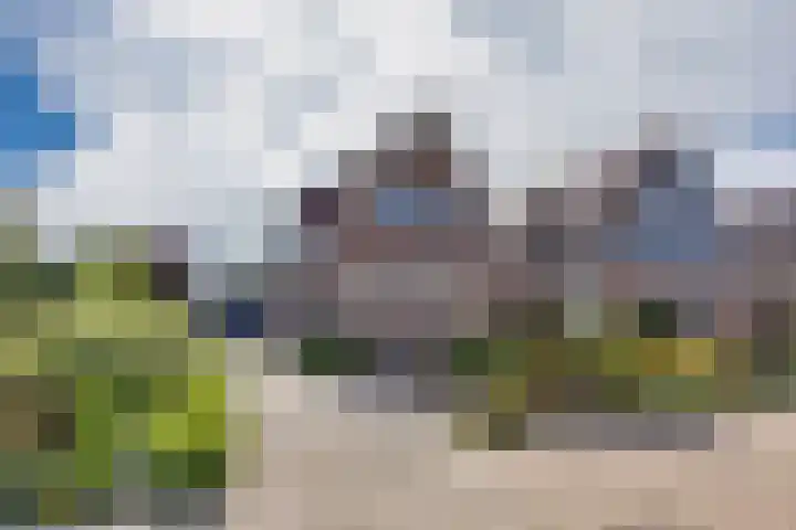 Gerben Rijpmastrjitte 24 Blauwhuis foto 2
