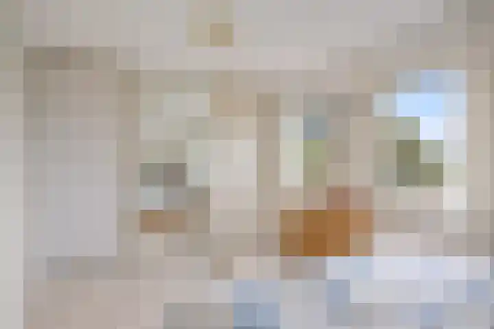 Gerben Rijpmastrjitte 24 Blauwhuis thumbnail 20