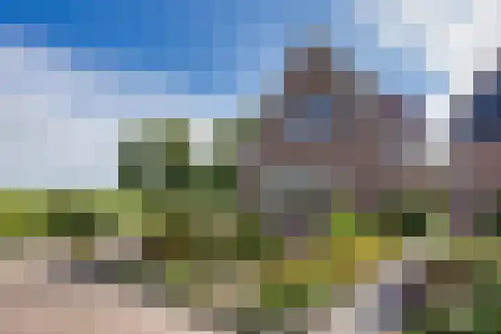 Gerben Rijpmastrjitte 24 Blauwhuis foto 3