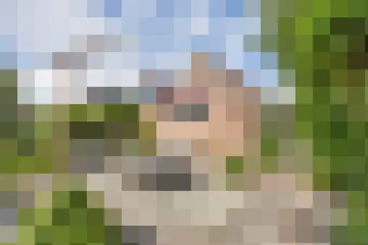 Gerben Rijpmastrjitte 24 Blauwhuis thumbnail 33