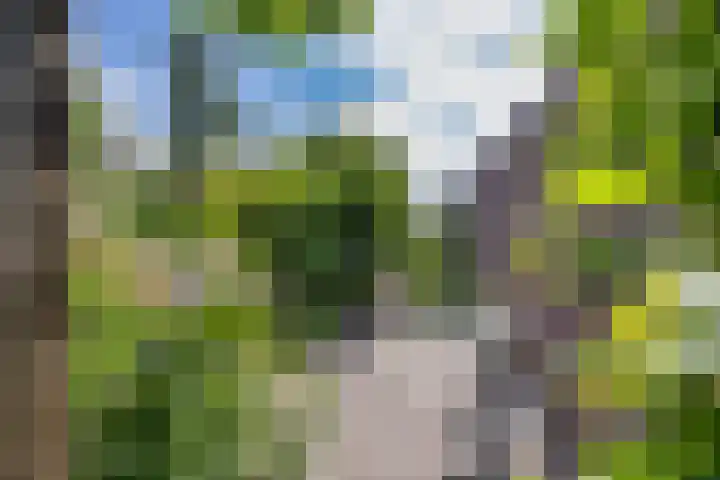 Gerben Rijpmastrjitte 24 Blauwhuis thumbnail 34