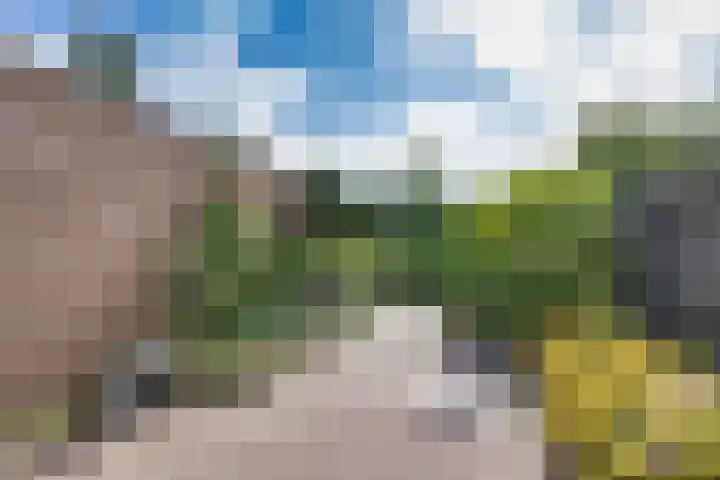 Gerben Rijpmastrjitte 24 Blauwhuis thumbnail 35