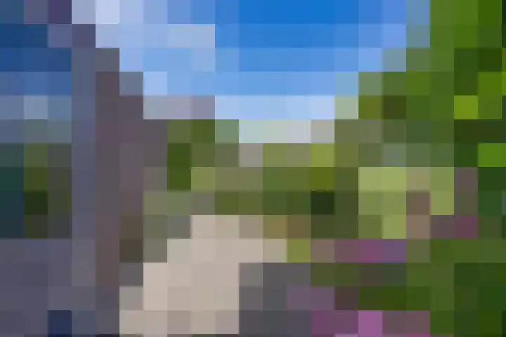Gerben Rijpmastrjitte 24 Blauwhuis thumbnail 37