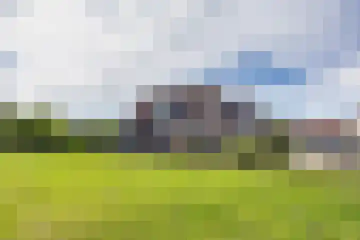 Gerben Rijpmastrjitte 24 Blauwhuis thumbnail 39