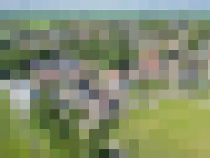Gerben Rijpmastrjitte 24 Blauwhuis thumbnail 40