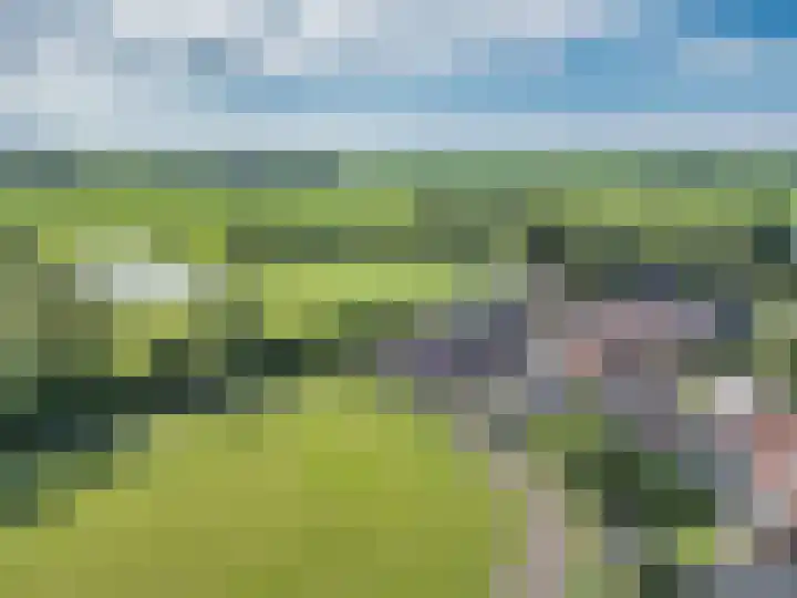 Gerben Rijpmastrjitte 24 Blauwhuis thumbnail 42