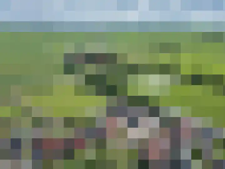 Gerben Rijpmastrjitte 24 Blauwhuis thumbnail 43