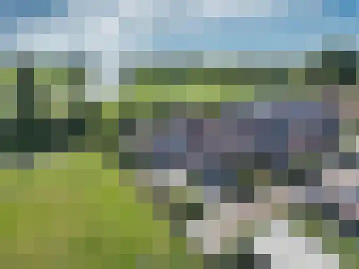 Gerben Rijpmastrjitte 24 Blauwhuis thumbnail 47
