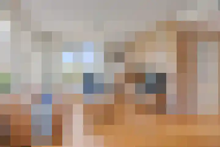 Gerben Rijpmastrjitte 24 Blauwhuis thumbnail 6