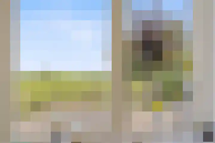 Gerben Rijpmastrjitte 24 Blauwhuis thumbnail 8