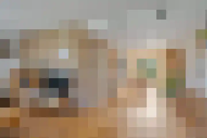 Gerben Rijpmastrjitte 24 Blauwhuis thumbnail 9