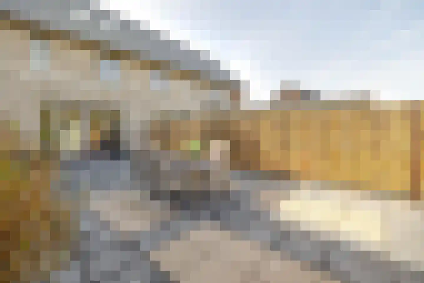 Gerben van Manenstraat 104 Drachten thumbnail 28
