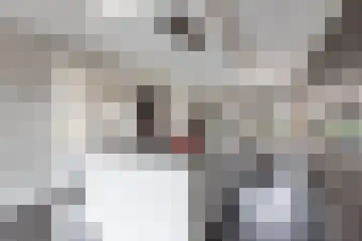 Gerben van Manenstraat 139 Drachten thumbnail 24