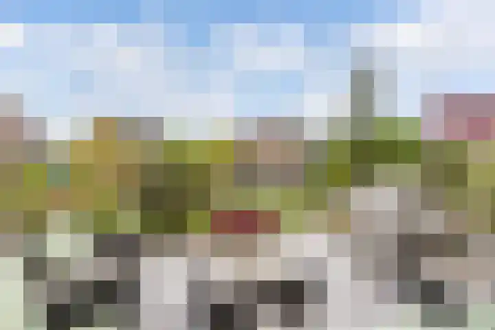 Gerben van Manenstraat 139 Drachten thumbnail 58