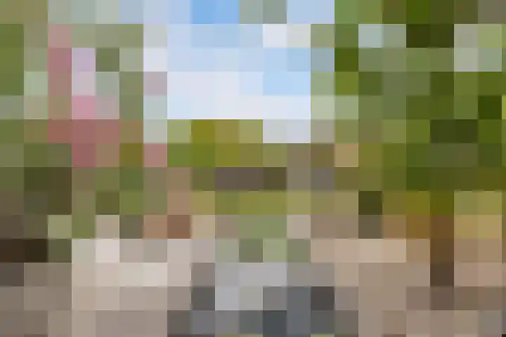 Gerben van Manenstraat 139 Drachten thumbnail 59
