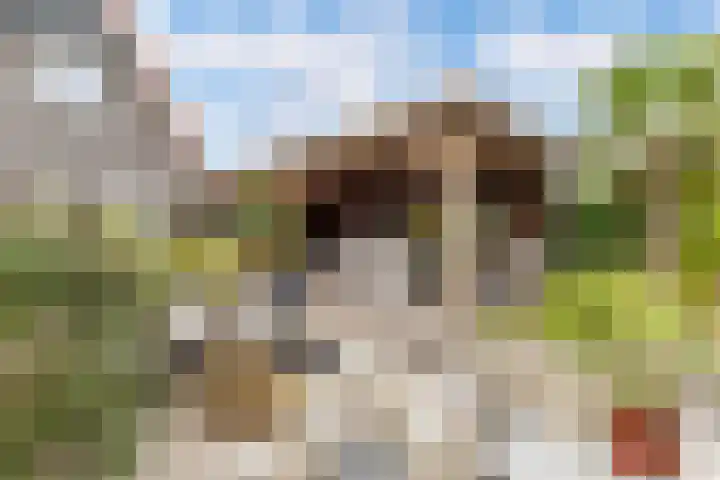 Gerben van Manenstraat 139 Drachten thumbnail 62