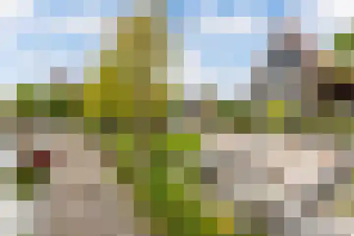 Gerben van Manenstraat 139 Drachten thumbnail 69