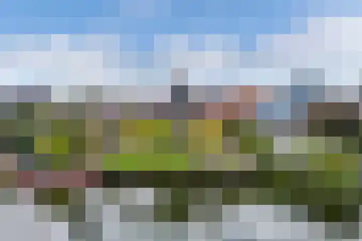 Gerben van Manenstraat 139 Drachten thumbnail 72